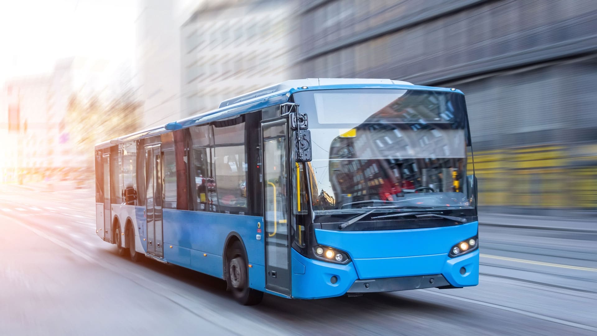 Patente D autobus
